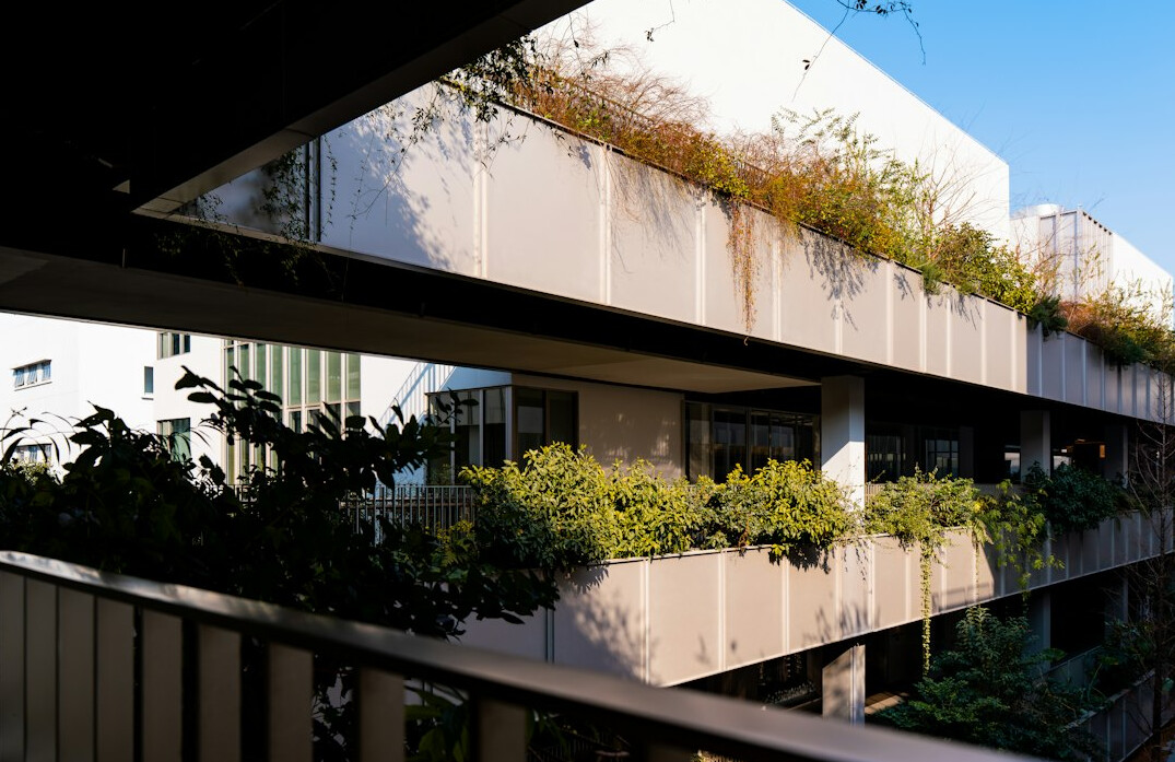 Bright open-plan office with plants and empty desks